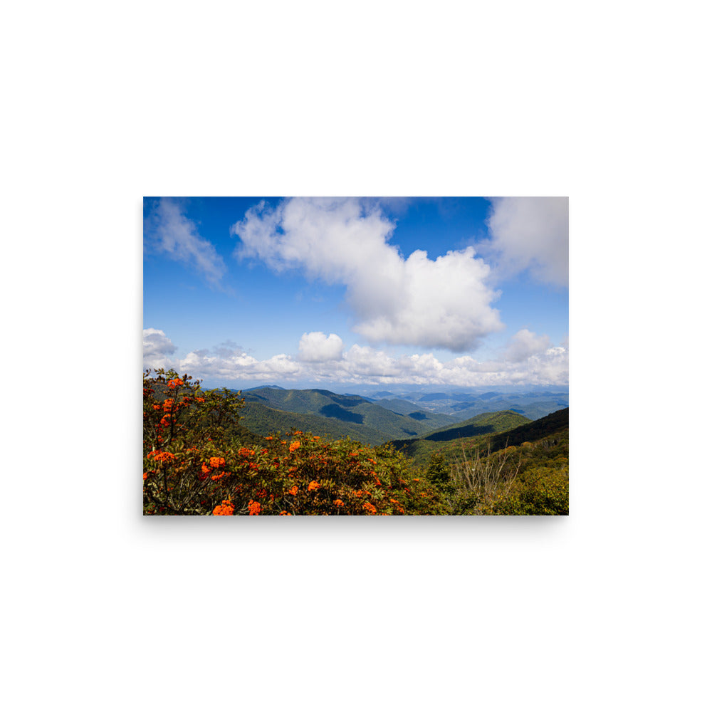 T.Kiwi Overlook along Blue Ridge Parkway