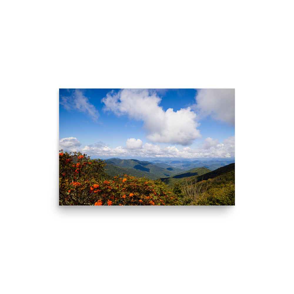 T.Kiwi Overlook along Blue Ridge Parkway