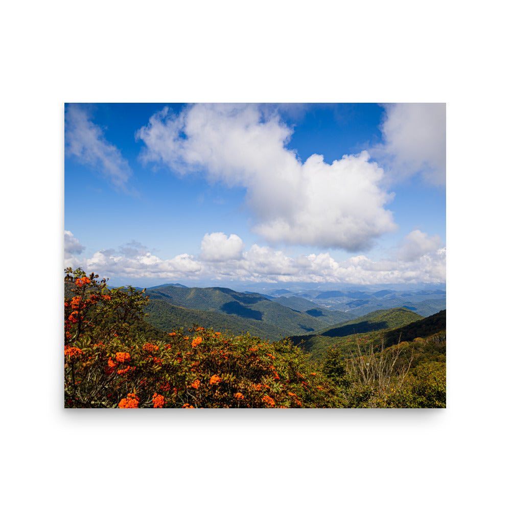 T.Kiwi Overlook along Blue Ridge Parkway