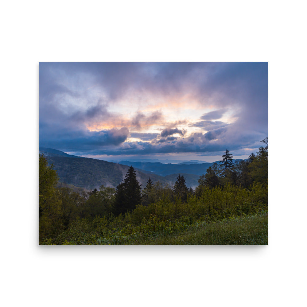 T.Kiwi Ridge Junction Overlook