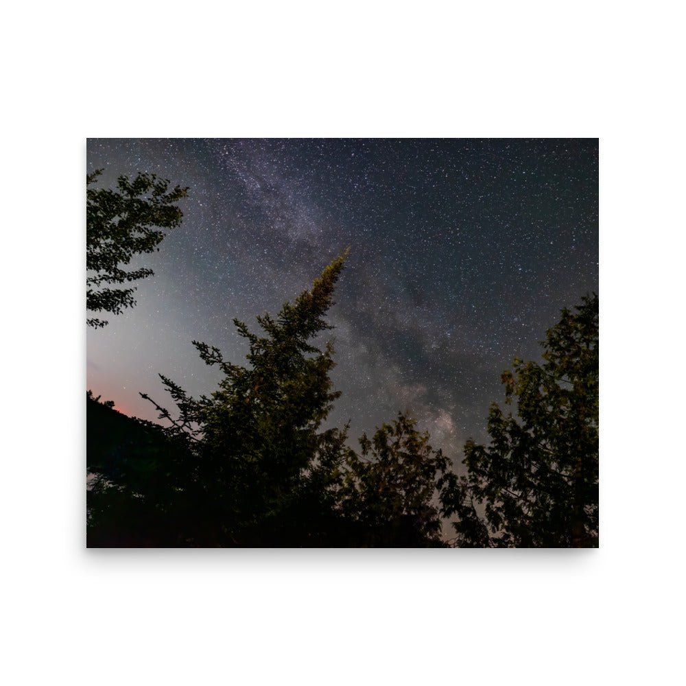 T.Kiwi Milky Way in Canada