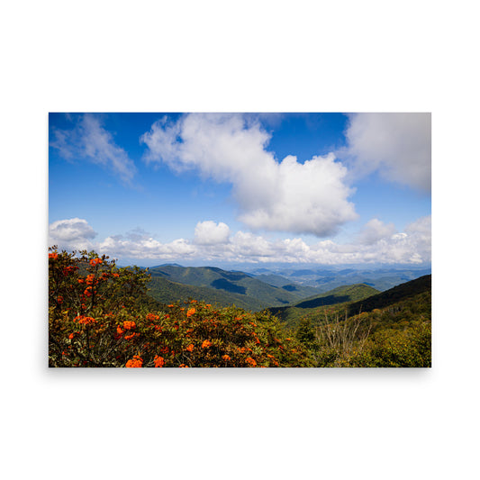 T.Kiwi Overlook along Blue Ridge Parkway