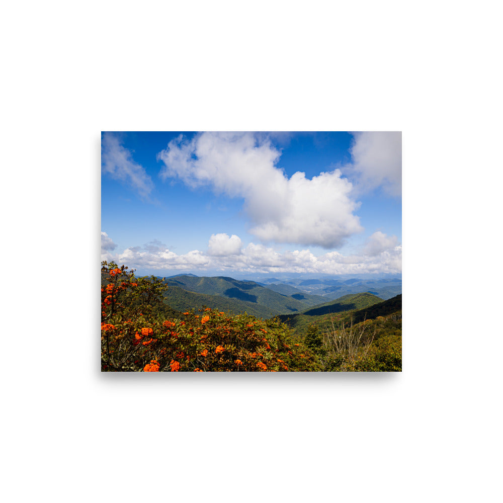 T.Kiwi Overlook along Blue Ridge Parkway